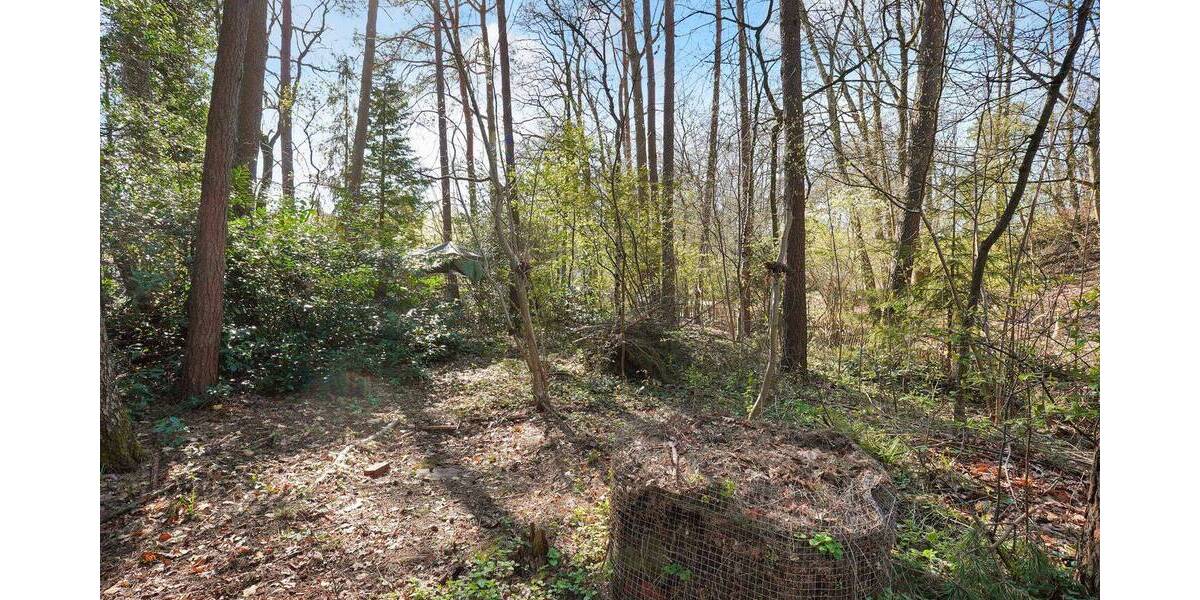 Reihenendhaus Buchholz - 5 Zimmer, 141 m&sup2;, 385.000&euro; | Angebot:26160595