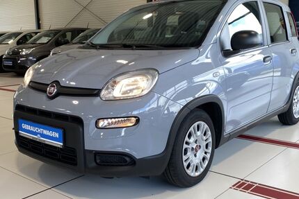 Fiat Panda 14.837 km 10.950 &euro; Buchholz in der Nordheide 21244