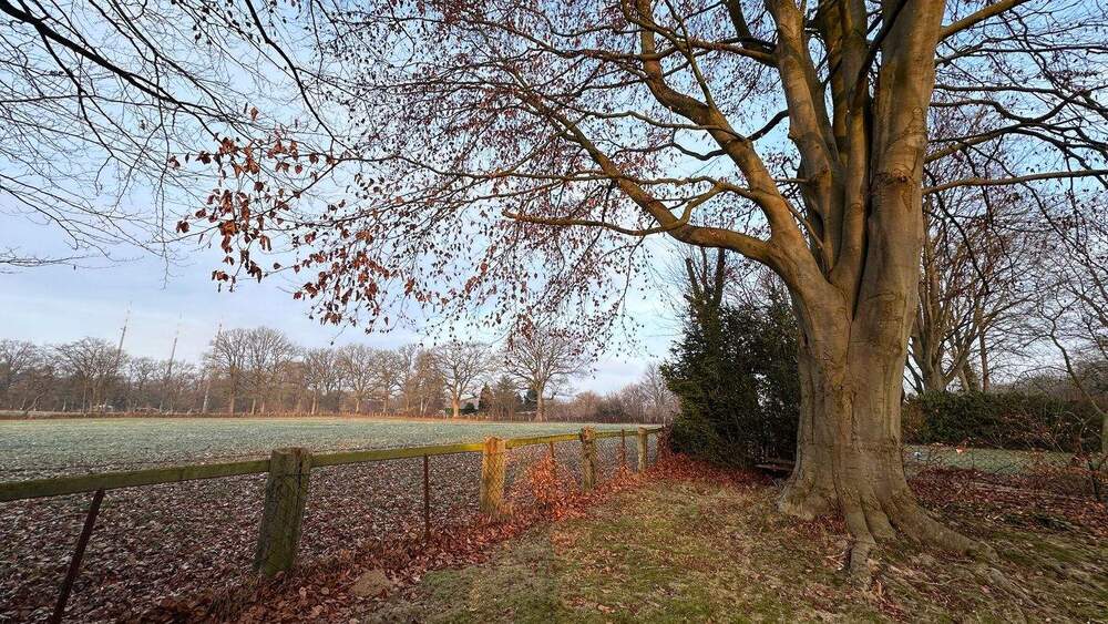 Grundstück Hamburg Lemsahl-Mellingstedt - 740.000&euro; | Angebot:24994620