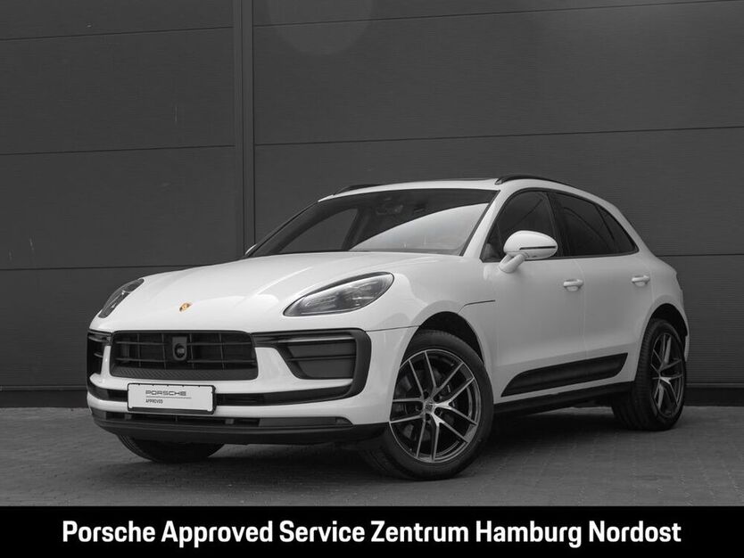 Macan