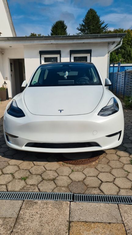 Model Y