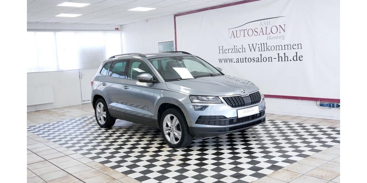 Skoda Karoq 165.940 km 17.699 &euro; Hamburg 22399