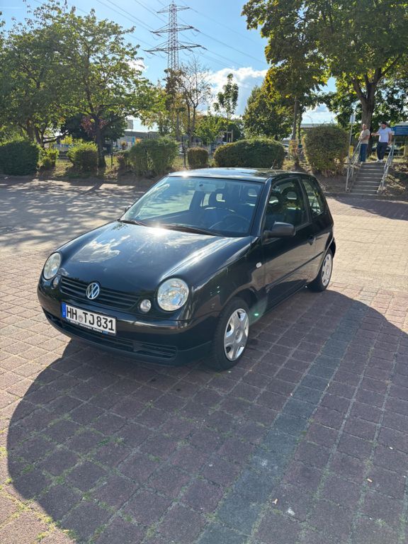 Lupo