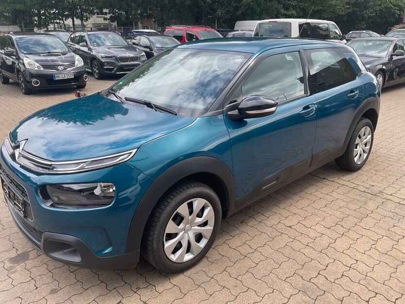 C4 Cactus