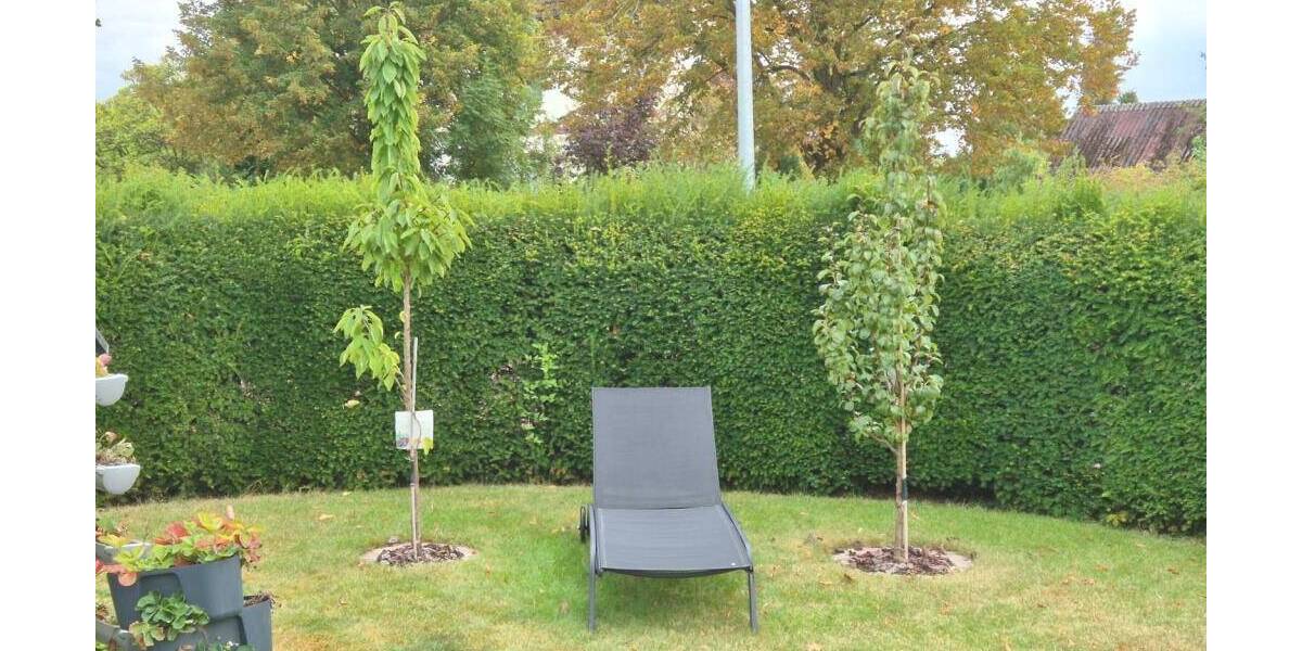 Etagenwohnung Escheburg - 3 Zimmer, 88 m&sup2;, 290.000&euro; | Angebot:25695175