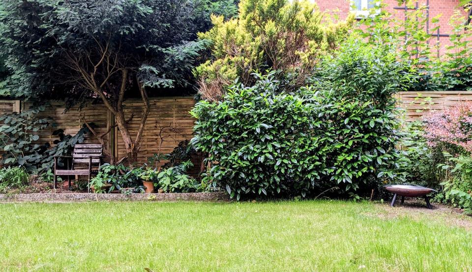 Helles, ruhiges 28 m² Zimmer mit Garten, Natur & Top-Anbindung 1 zimmer