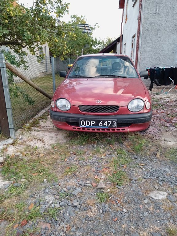 Corolla
