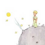 Der kleine Prinz