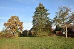 Mehrfamilienhaus, Wohnhaus Trittau - 795.000&euro; | Angebot:25726905