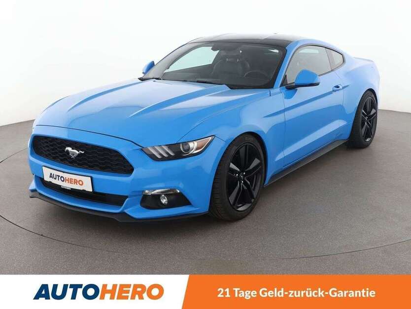 Mustang