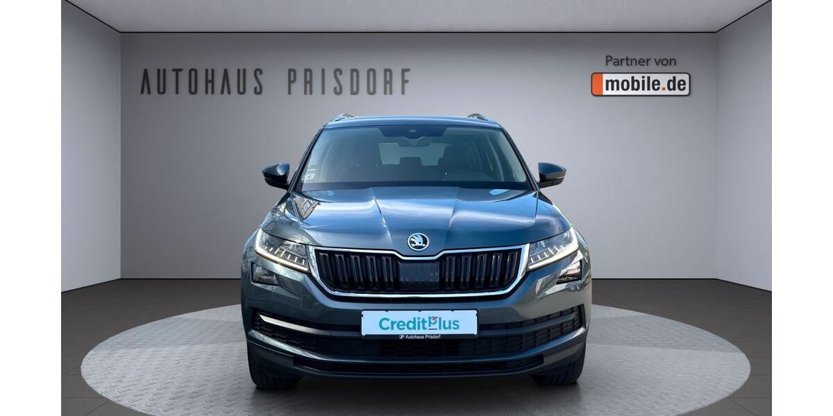 Skoda Kodiaq 100.000 km 19.950 &euro; Prisdorf bei Hamburg 25497