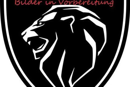 Peugeot 3008 48.999 km 28.850 &euro; Hollern-Twielenfleth 21723