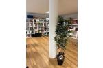 Gewerbeobjekt Seevetal Holtorfsloh - 535&euro; | Angebot:26270252