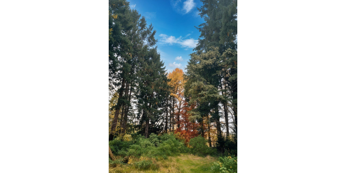 Grundstück Hamburg Bergstedt - 859.000&euro; | Angebot:25683394