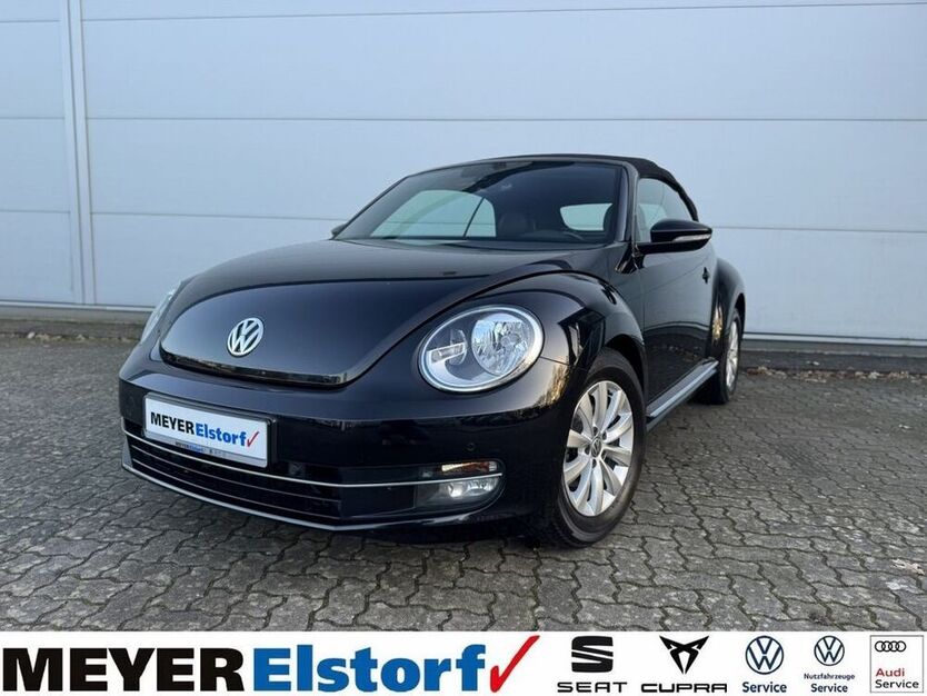 Beetle