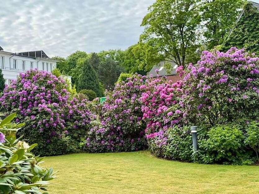 Wohnung zum Kaufen in Hamburg 319.000 € 50 m²