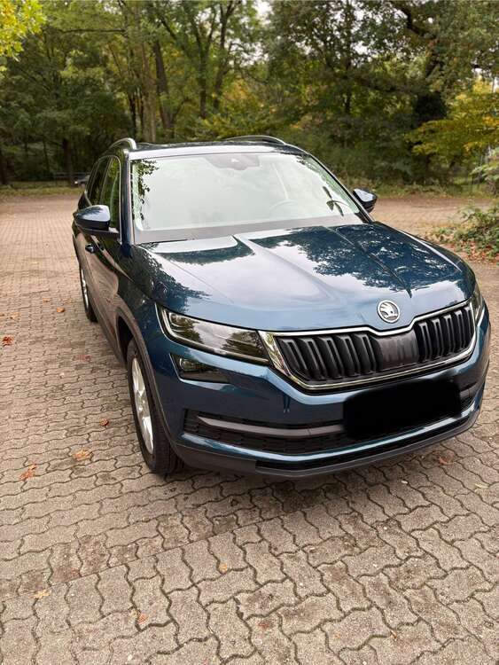 Skoda Kodiaq 114.000 km 22.900 € Hamburg 22143