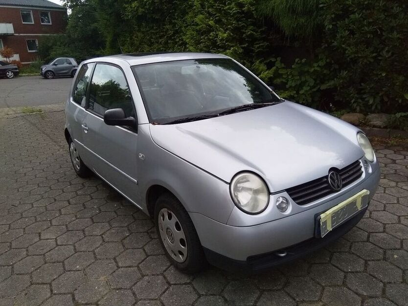 Lupo