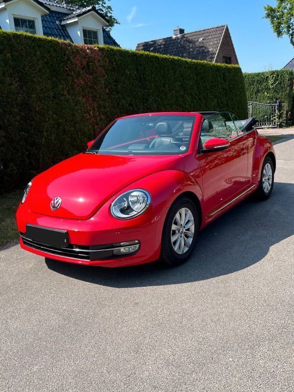 Beetle
