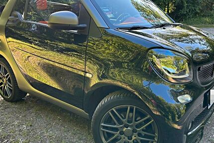 Smart ForTwo 43.400 km 14.500 &euro; Ammersbek 22949