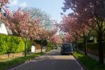 Dachgeschoßwohnung Hamburg Wandsbek - 2 Zimmer, 48 m&sup2;, 889&euro; | Angebot:26469792