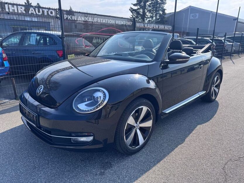 Beetle