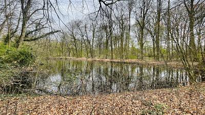 LAGEJUWEL MIT TEICHBLICK AM BERNER GUTSPARK