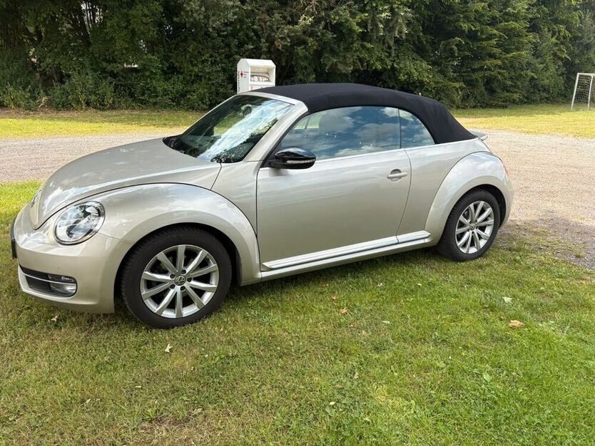 Beetle