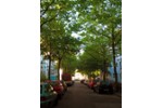 Etagenwohnung Hamburg Harburg - 2 Zimmer, 45 m&sup2;, 250.000&euro; | Angebot:27191258
