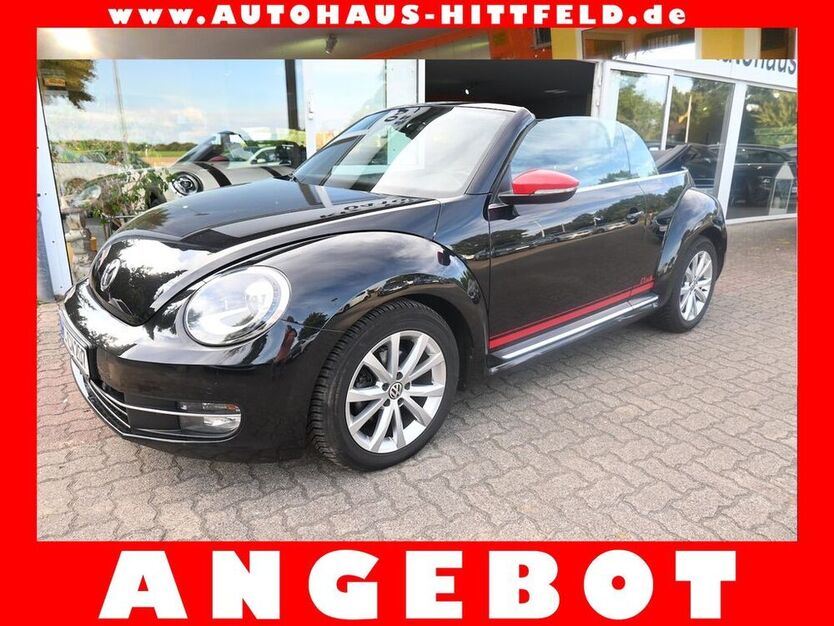 Beetle