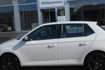 Skoda Fabia 125.901 km 9.899 &euro; Geesthacht 21502
