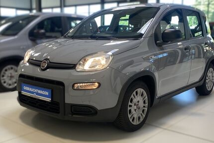 Fiat Panda 31.432 km 10.990 &euro; Buchholz in der Nordheide 21244
