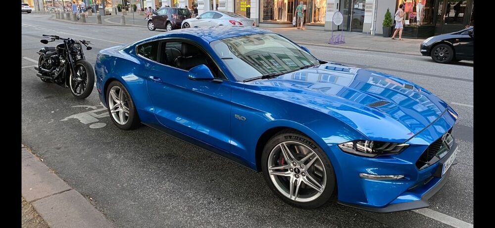 Mustang