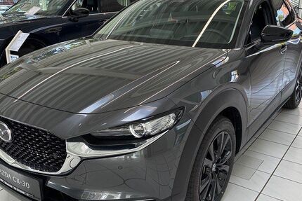 Mazda CX-30 1.399 km 26.480 &euro; Marschacht 21436