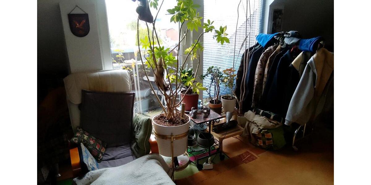 Dachgeschoßwohnung Hamburg Groß Borstel - 1 Zimmer, 35 m&sup2;, 653&euro; | Angebot:26342957