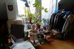 Dachgeschoßwohnung Hamburg Groß Borstel - 1 Zimmer, 35 m&sup2;, 653&euro; | Angebot:26342957