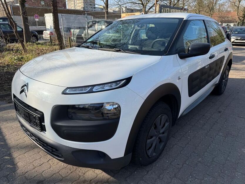 C4 Cactus