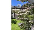 Mehrfamilienhaus, Wohnhaus Hamburg Winterhude - 7 Zimmer, 285 m&sup2;, 3.000.000&euro; | Angebot:26825796