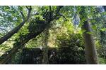 WOHNEN AM PARK - Grundstück Hamburg Farmsen-Berne Berne | Angebot:26742750