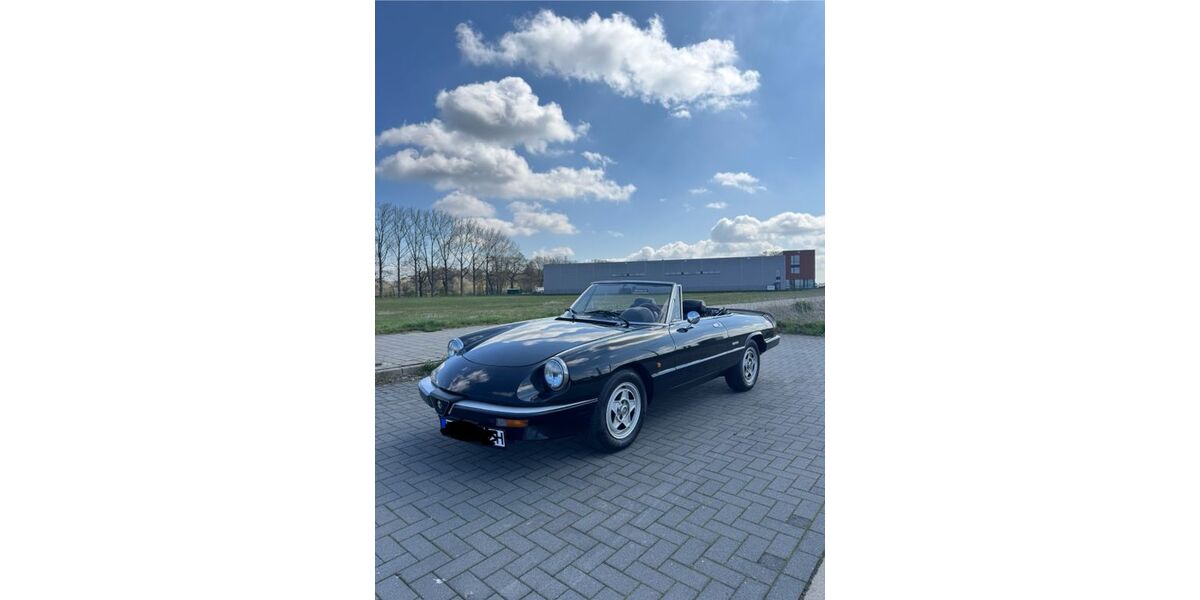 Alfa Romeo Spider 216.000 km 15.999 &euro; Wedel 22880