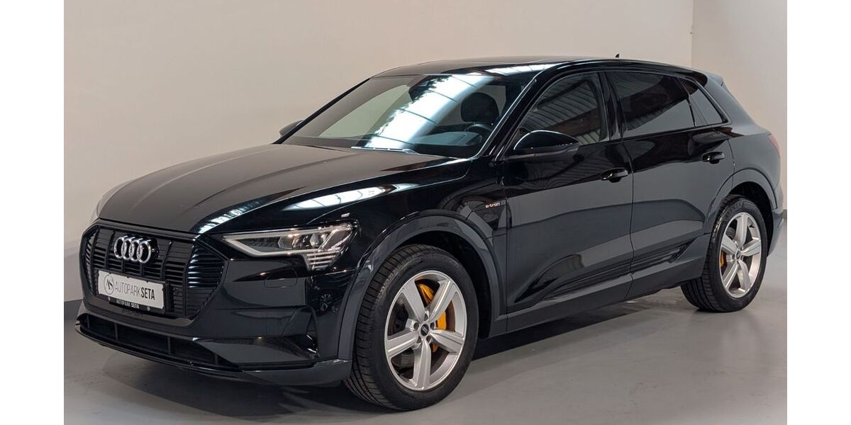 Audi e-tron 65.000 km 36.475 &euro; Ellerhoop bei Hamburg 25373