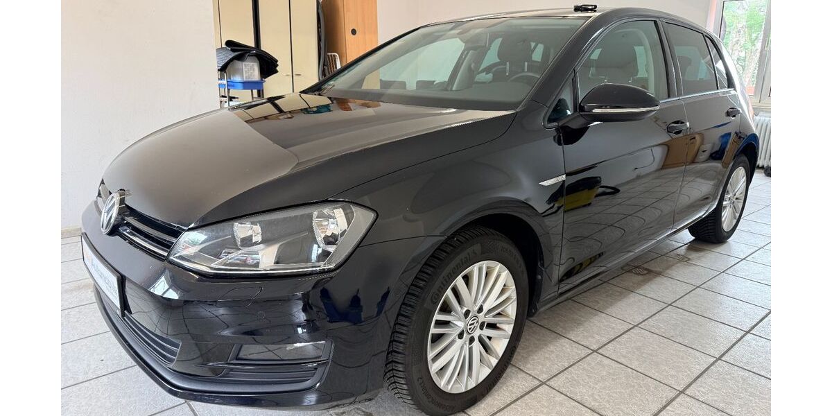 VW Golf 133.000 km 8.900 &euro; Geesthacht (bei Hamburg) 21502