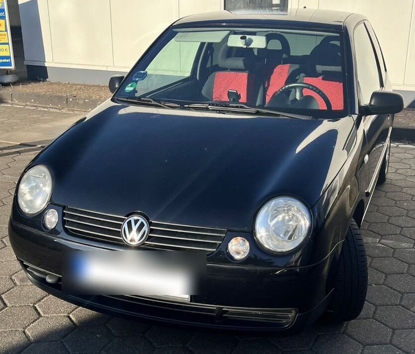 Lupo