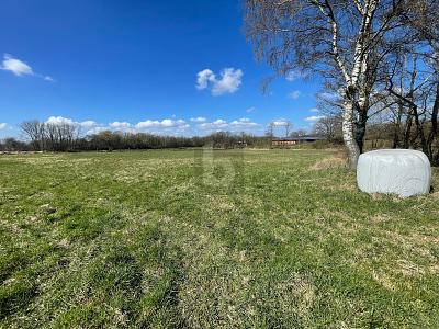 GROßE FLÄCHE MIT VIELSEITIGER NUTZUNG - Grundstück Oststeinbek | Angebot:26345562