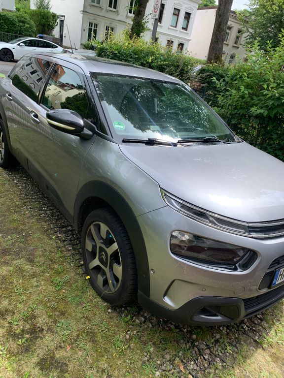 C4 Cactus