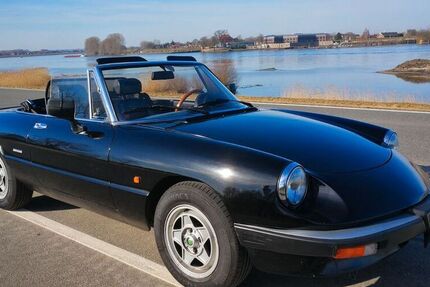 Alfa Romeo Spider