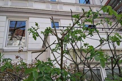 Wohnung Hamburg Hoheluft-West - 2 Zimmer, 50 m&sup2;, 399.000&euro; | Angebot:26203913