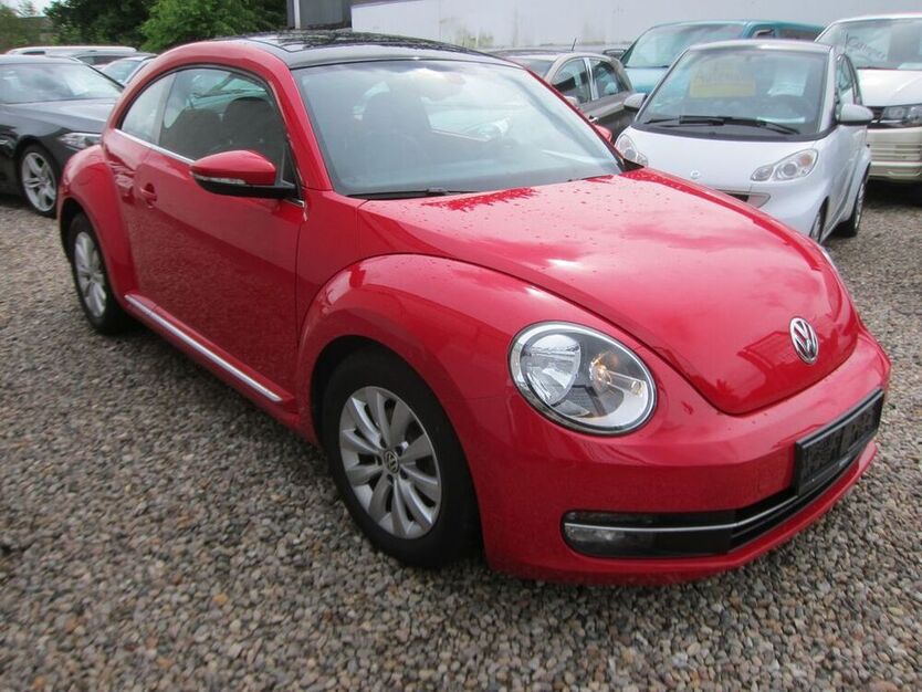 Beetle