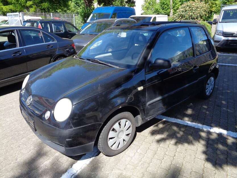 Lupo