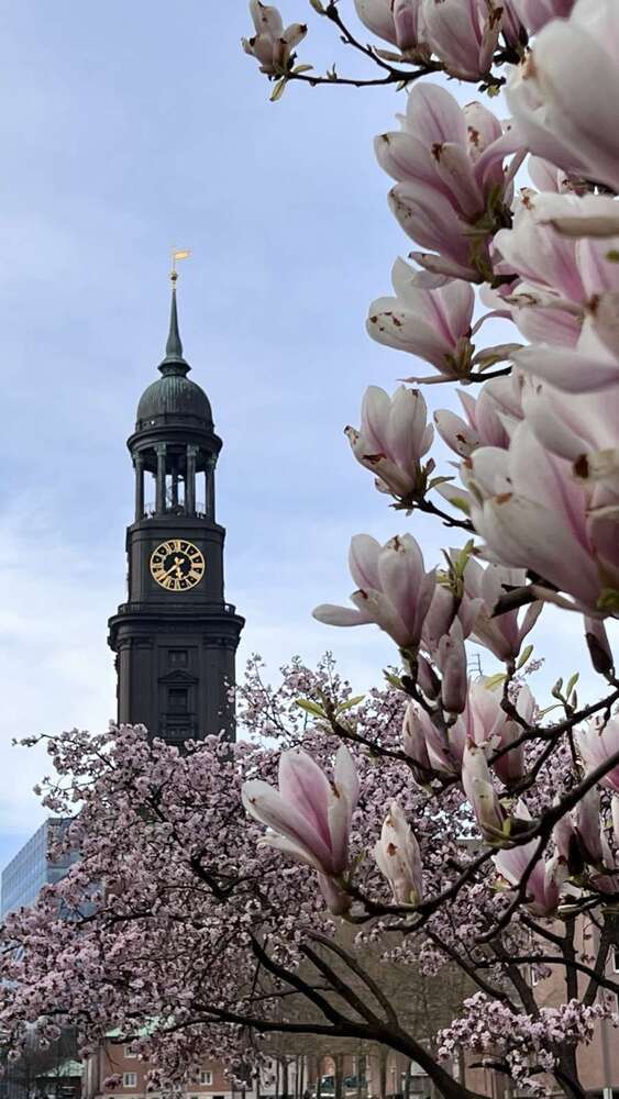 Haus zum Kaufen in Hamburg 3.590.000 € 902.88 m²